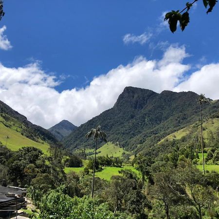 Cabanas Valle Del Cocora La Truchera 살렌토 외부 사진