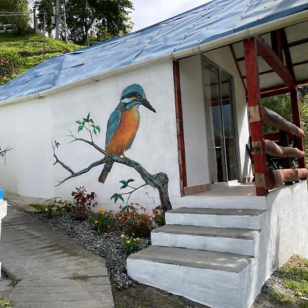 Cabanas Valle Del Cocora La Truchera 살렌토 외부 사진