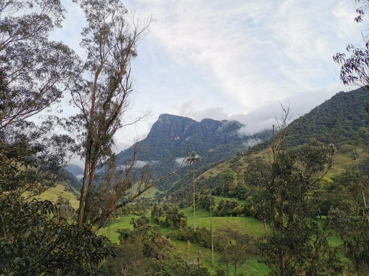 Cabanas Valle Del Cocora La Truchera 살렌토 외부 사진