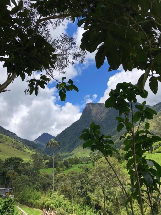 Cabanas Valle Del Cocora La Truchera 살렌토 외부 사진