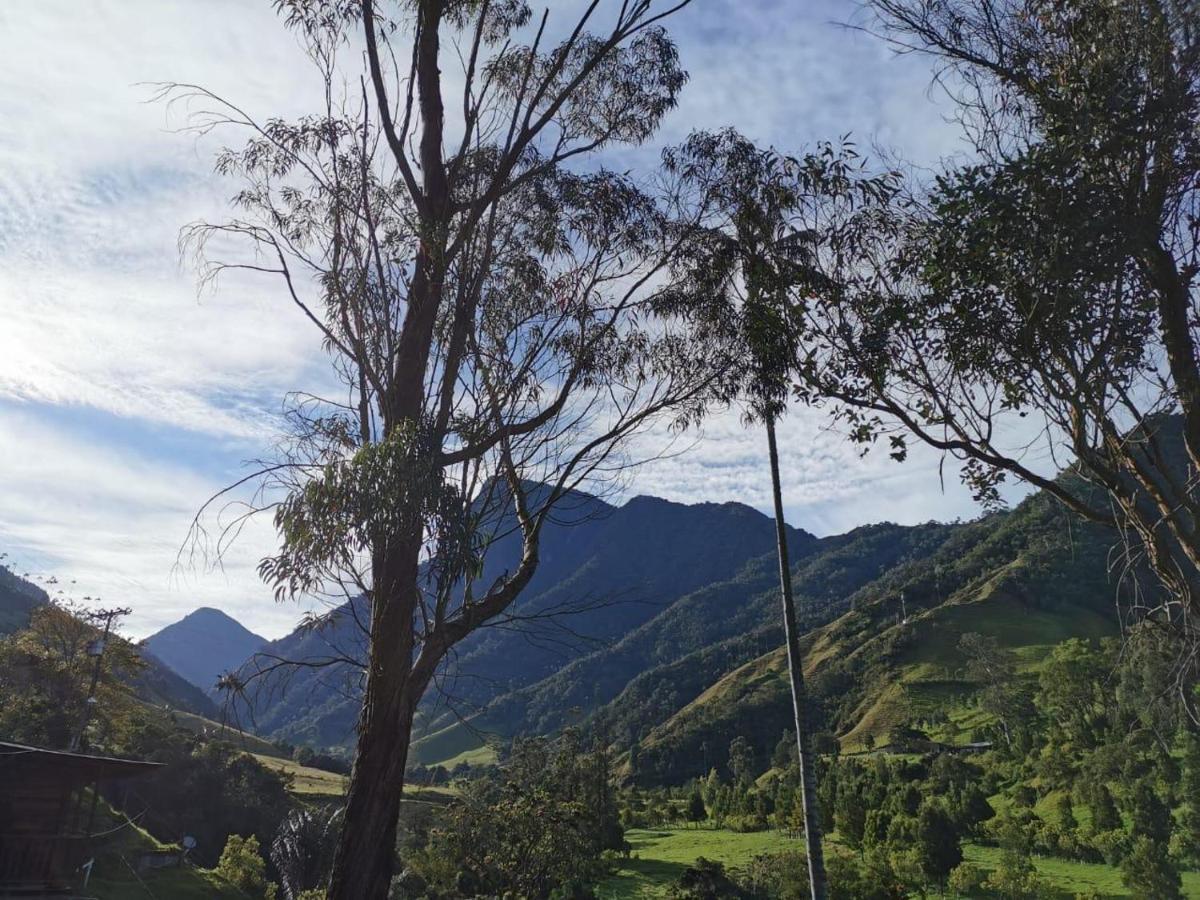 Cabanas Valle Del Cocora La Truchera 살렌토 외부 사진