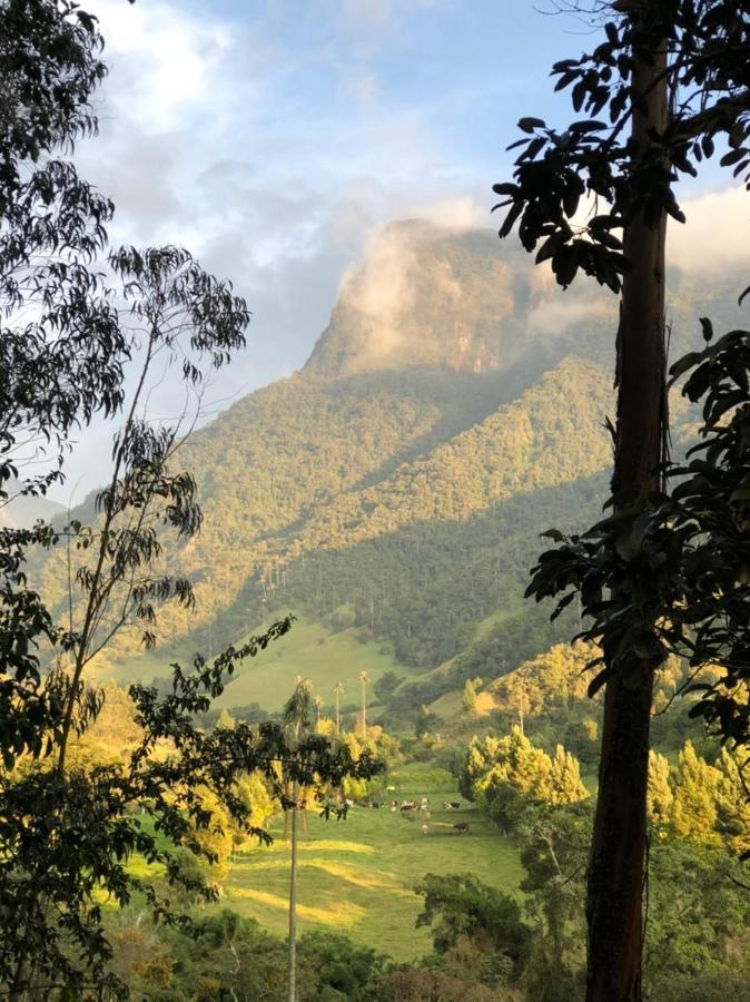 Cabanas Valle Del Cocora La Truchera 살렌토 외부 사진