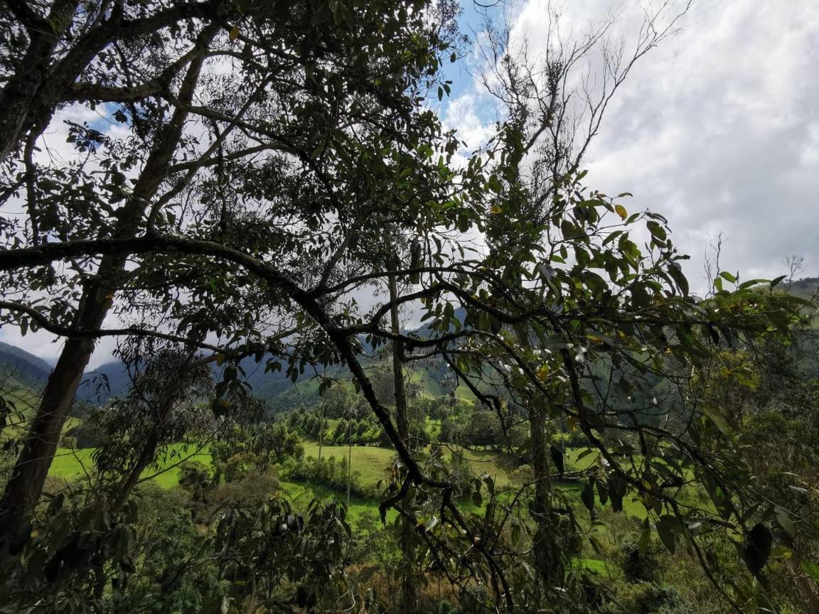 Cabanas Valle Del Cocora La Truchera 살렌토 외부 사진