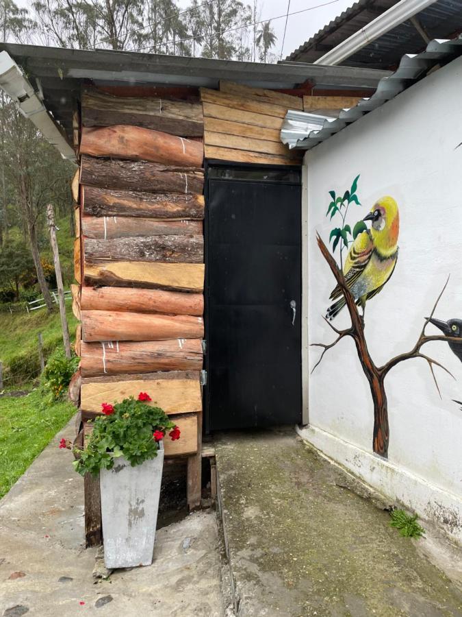 Cabanas Valle Del Cocora La Truchera 살렌토 외부 사진