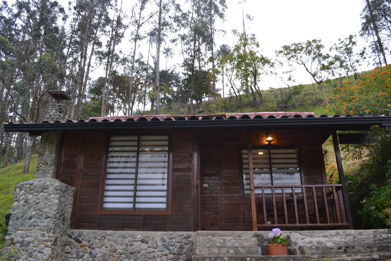 Cabanas Valle Del Cocora La Truchera 살렌토 외부 사진