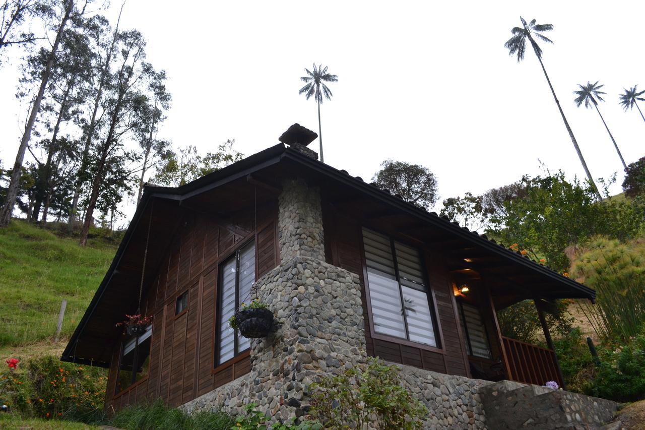 Cabanas Valle Del Cocora La Truchera 살렌토 외부 사진