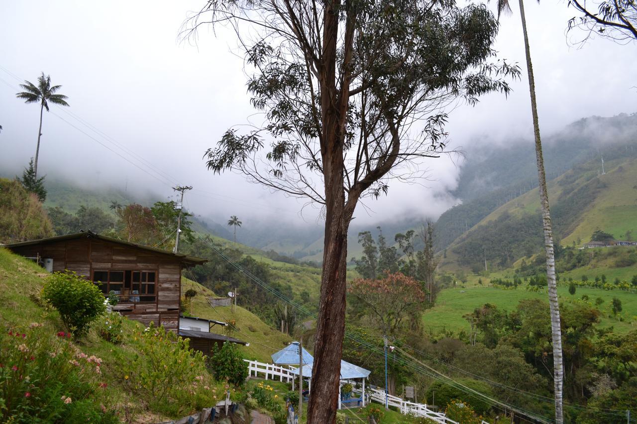 Cabanas Valle Del Cocora La Truchera 살렌토 외부 사진