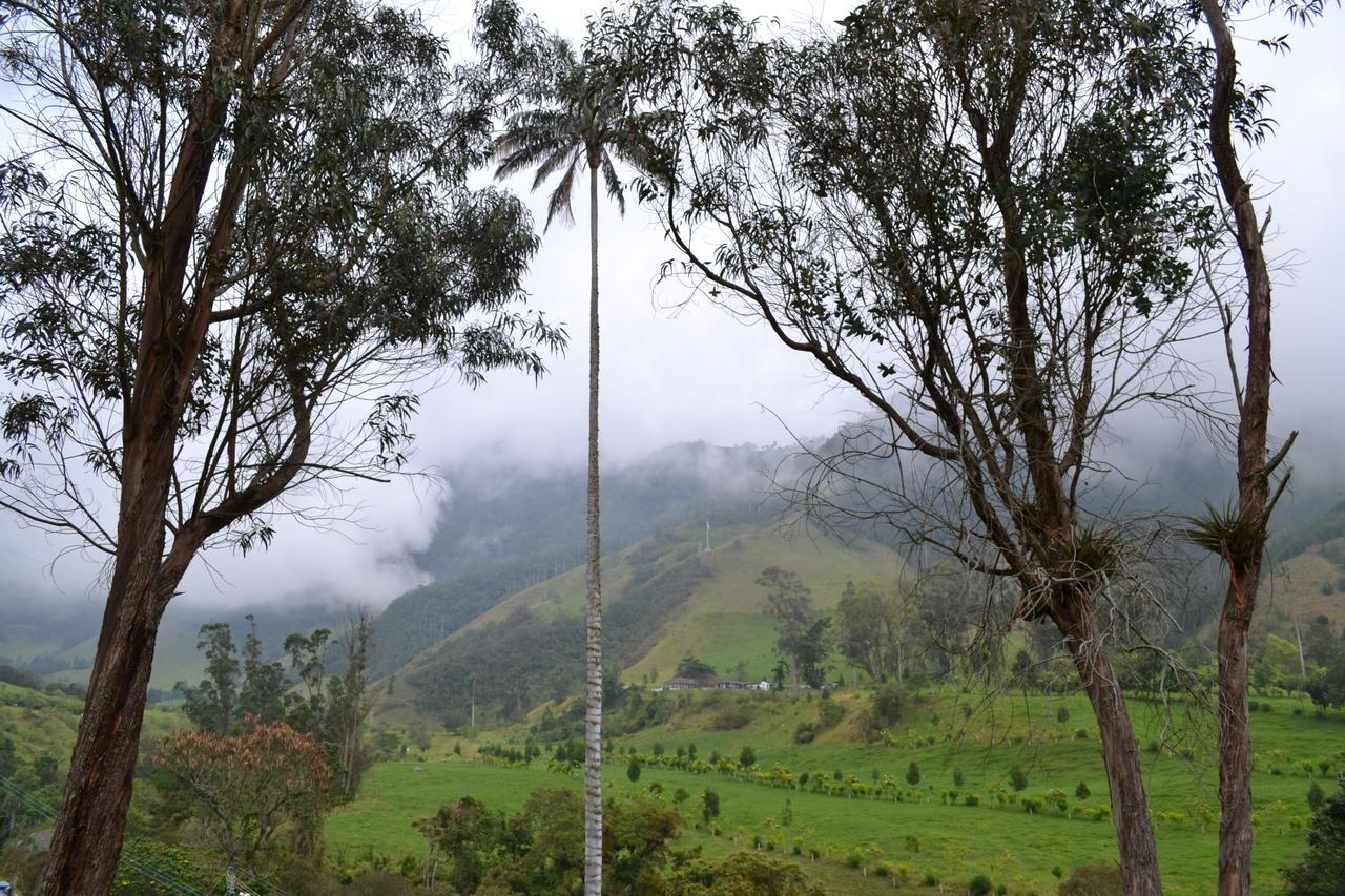 Cabanas Valle Del Cocora La Truchera 살렌토 외부 사진