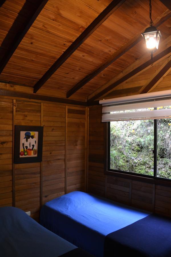 Cabanas Valle Del Cocora La Truchera 살렌토 외부 사진