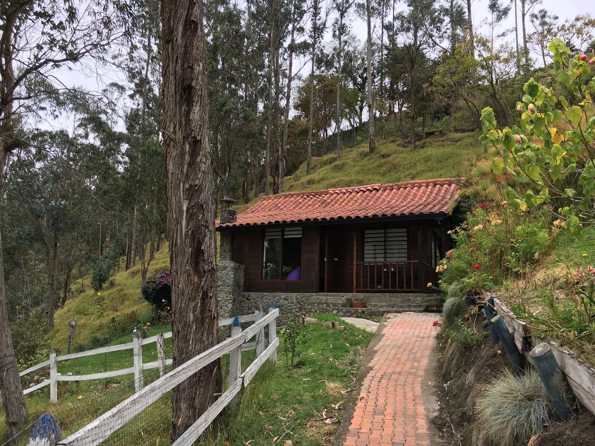 Cabanas Valle Del Cocora La Truchera 살렌토 외부 사진