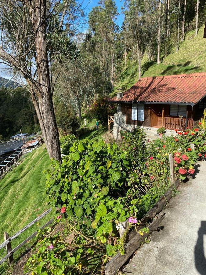 Cabanas Valle Del Cocora La Truchera 살렌토 외부 사진