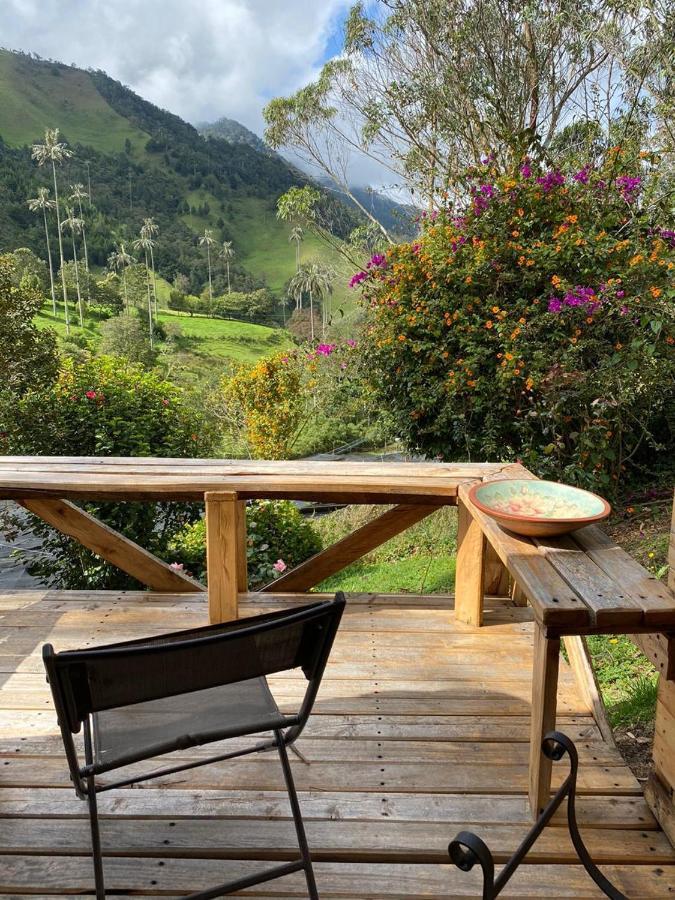 Cabanas Valle Del Cocora La Truchera 살렌토 외부 사진