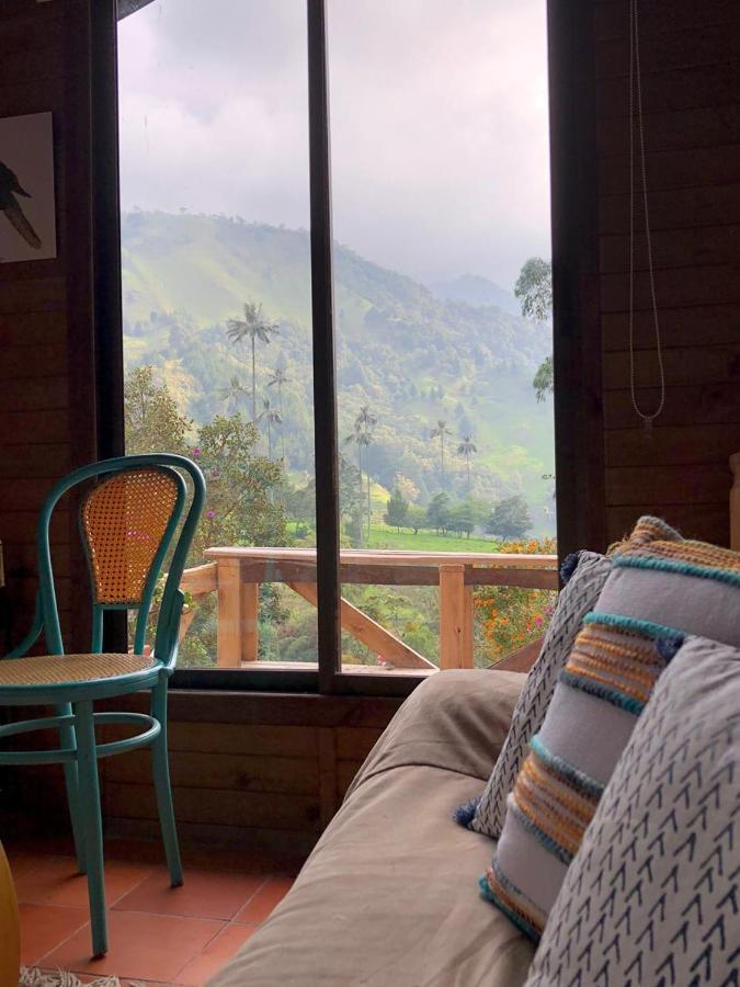 Cabanas Valle Del Cocora La Truchera 살렌토 외부 사진