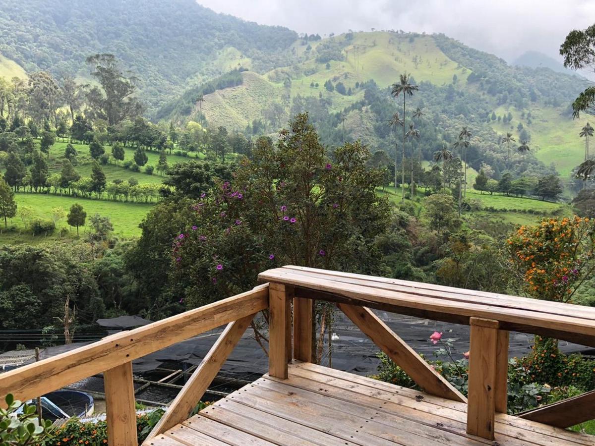 Cabanas Valle Del Cocora La Truchera 살렌토 외부 사진
