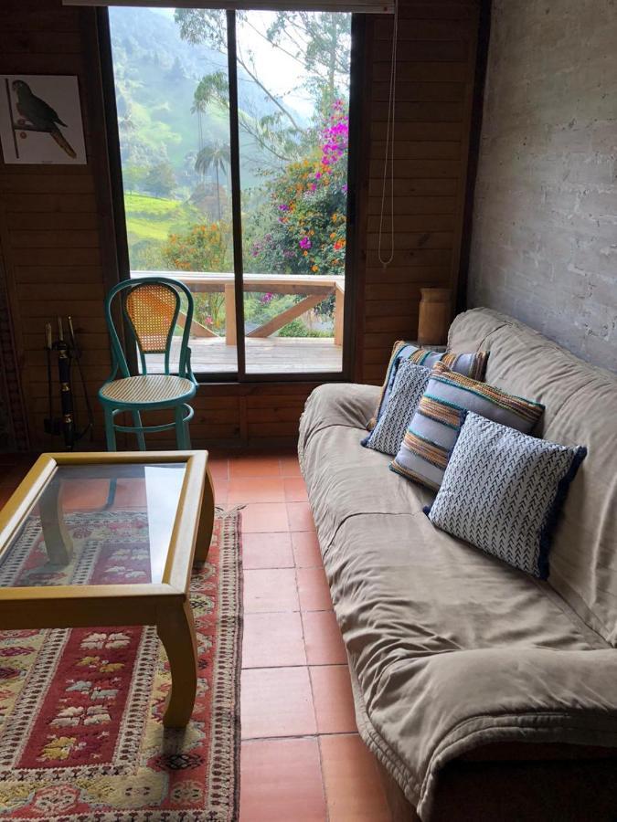 Cabanas Valle Del Cocora La Truchera 살렌토 외부 사진