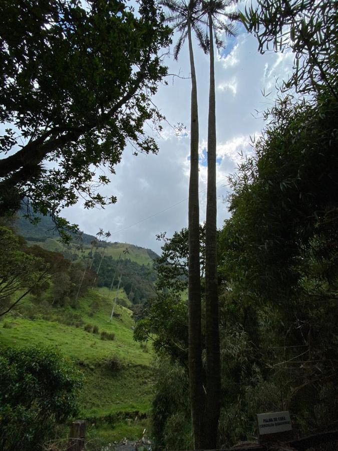 Cabanas Valle Del Cocora La Truchera 살렌토 외부 사진