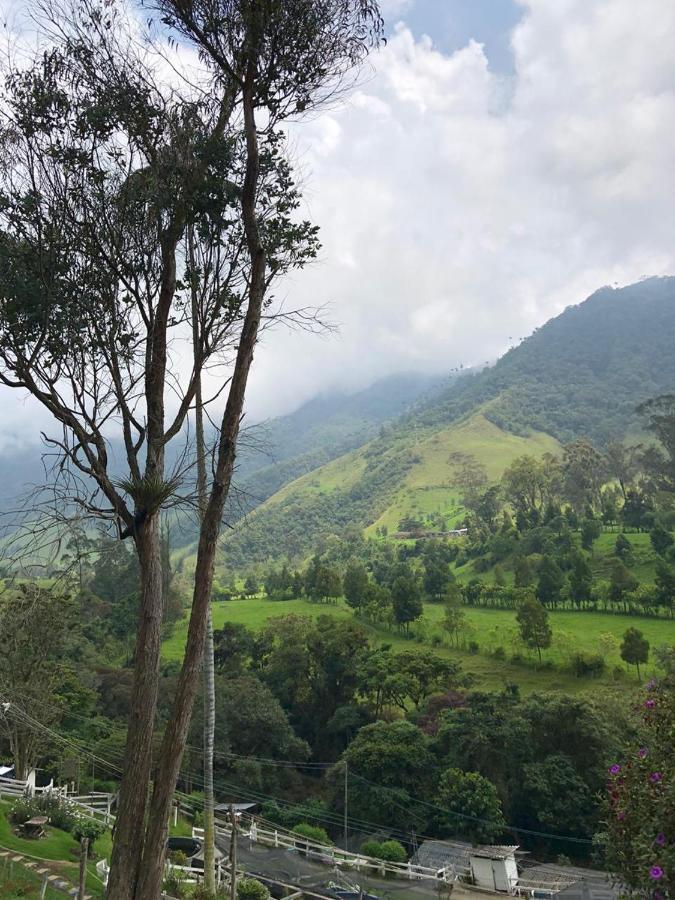 Cabanas Valle Del Cocora La Truchera 살렌토 외부 사진