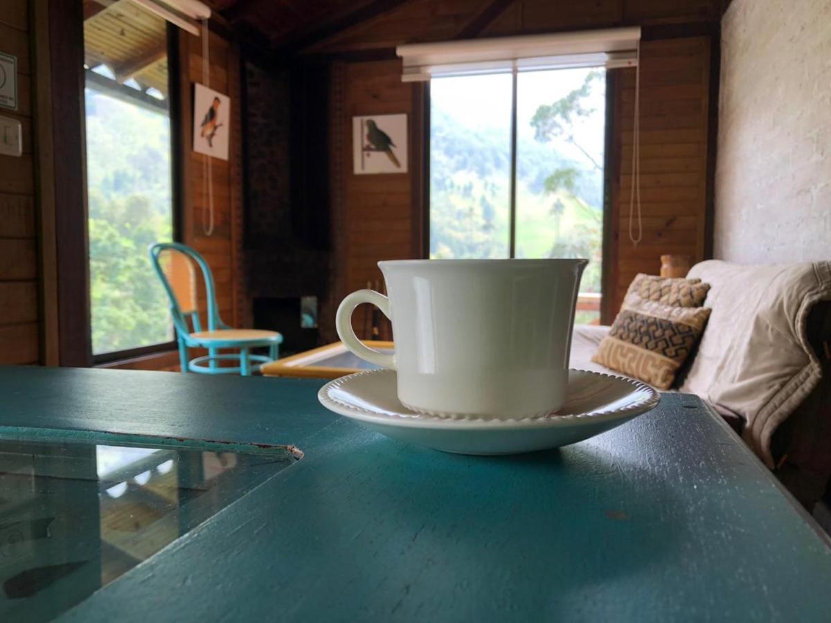 Cabanas Valle Del Cocora La Truchera 살렌토 외부 사진