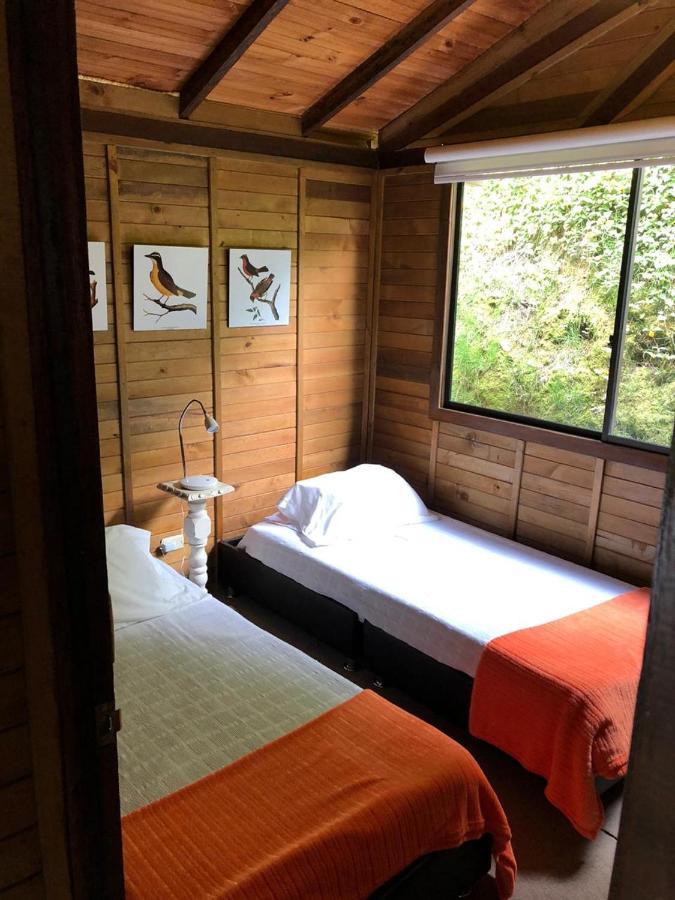Cabanas Valle Del Cocora La Truchera 살렌토 외부 사진