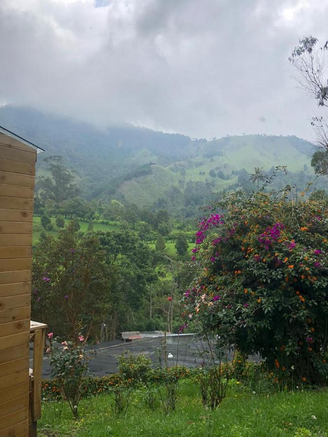 Cabanas Valle Del Cocora La Truchera 살렌토 외부 사진