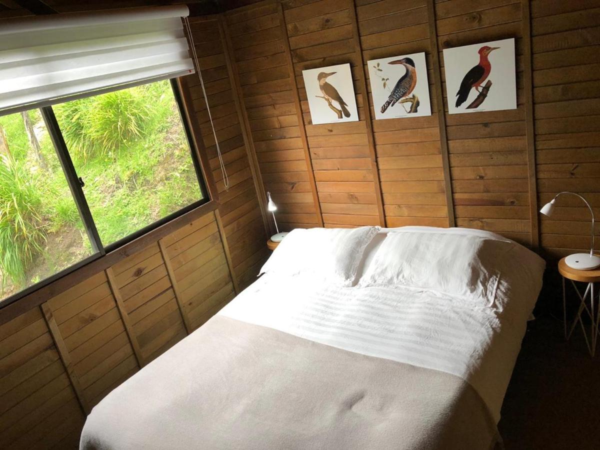Cabanas Valle Del Cocora La Truchera 살렌토 외부 사진